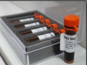 Qbeads-Silica ������x��������΢��